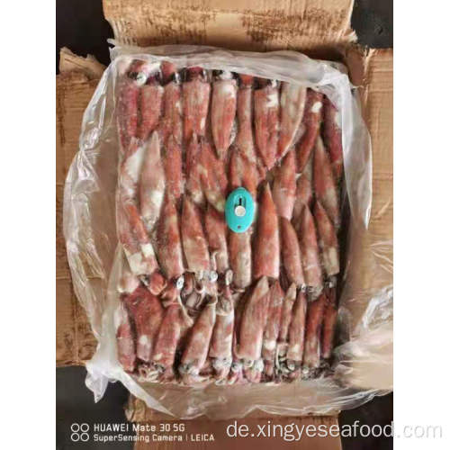 Gefrorene Tintenfischgefrorene UROTHISHIS Chinensis Ganzes Runden